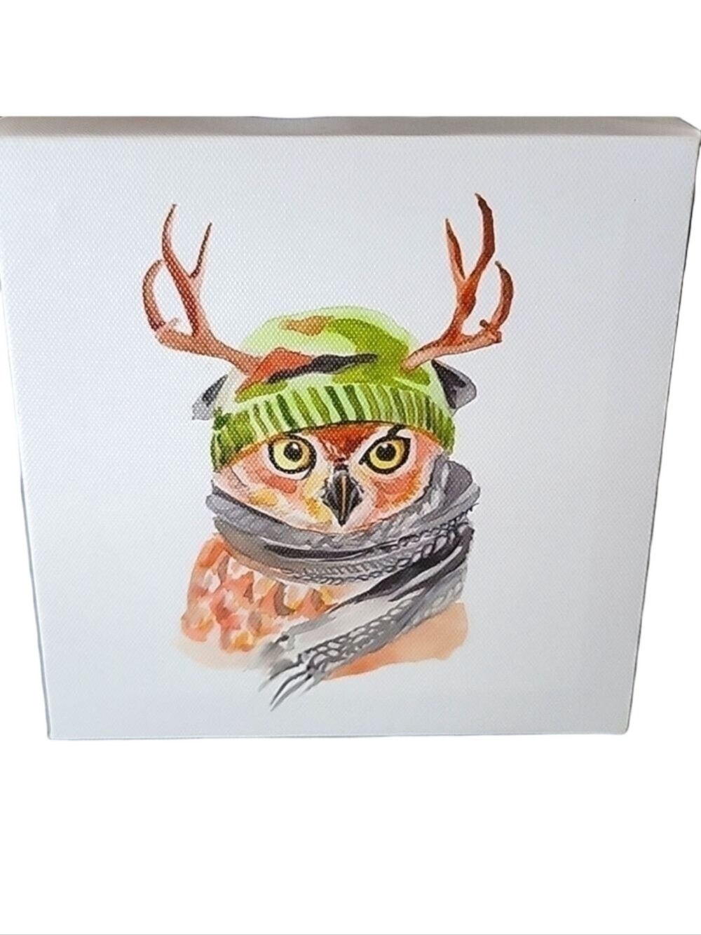 Beautiful Hand-painted Owl with Camouflage Cap & Horns